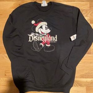 BNWT, Disneyland resort youth crewneck sweatshirt
